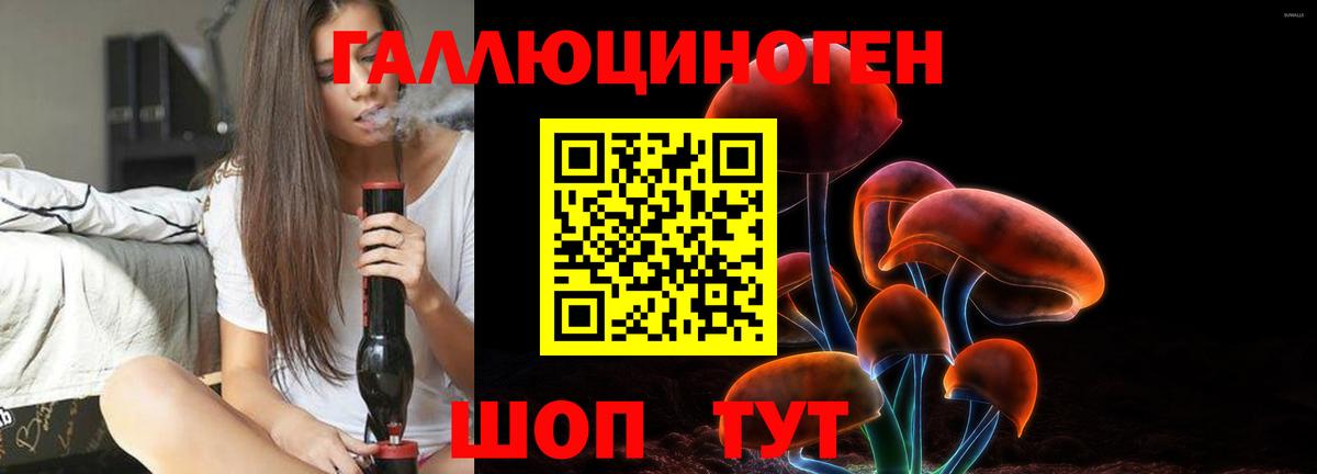 Галлюциногенные грибы Psilocybine cubensis Дедовск